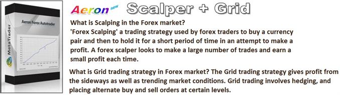 Foreign Exchange Investing